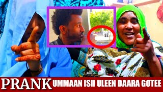 Hayat ummaan isii uleen daara gotee yaddon prank irraattii hojjatee irraa kafaladhee gaalatomaa👍👍