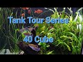 TANK TOURS * Dining Room 40 Cube *