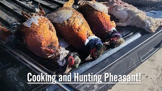 Pheasant Hunting A Friend's Farm || We Saw TONS of Pheasants And Cooked A Tasty Dinner!