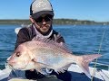 How to catch shallow water Snapper on soft plastics...