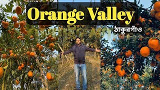 কমলার স্বর্গরাজ্যে একদিন | Orange valley | Pirganj- Thakurgaon |