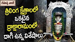 త్రిలింగ క్షేత్రాలలో ఒకటైన ద్రాక్షారామంలో దాగిఉన్న విశేషాలు !| Draksharamam Bhimesvara Swamy History