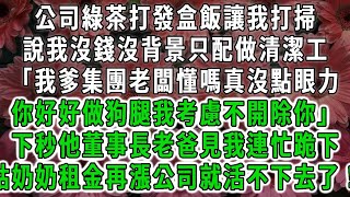 公司綠茶打發盒飯讓我打掃，說我沒錢沒背景只配做清潔工「我爹集團老闆懂嗎真沒點眼力，你好好做狗腿我考慮不開除你」下秒他董事長老爸見我連忙跪下，姑奶奶租金再漲公司就活不下去了！#荷上清風#爽文