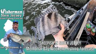 May 21st, 2026 New Jersey/Delaware Bay Fishing Report with Jim Hutchinson, Jr.