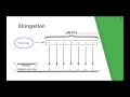 sanger sequencing method chain termination dna sequencing explained