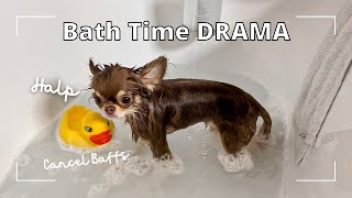 Dog Takes Bath *DRAMATIC*