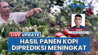 Antusiasme Petani Kopi di OKU Meningkat Jelang Panen Raya, Hasil Bumi Diprediksi Melonjak Tahun 2025