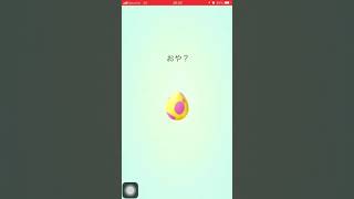 ポケモンGO❗️アローラ7卵14連発❗️海外限定ポケモン半分くらいの割合ですね〜( ˘ω˘ )