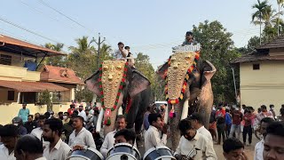 ചുള്ളൻസ് Thrithala fest 2022| മംഗലാംകുന്ന് അയ്യപ്പൻ-സാധു