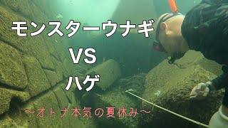 モンスターとの格闘。勝つのはどっちだ？