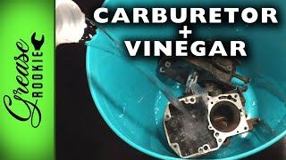 Soaking A Carburetor In Vinegar | Mustang VLOG # 4