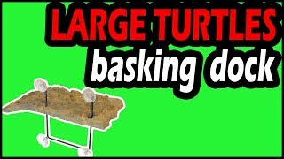 A Guide to the Best Turtle Docks for Large Turtles (Top #3)