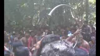 Melam-Padingare Kavu-Sree Poilkavu Durga Devi Temple