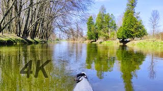 Kayaking the Canadian Wilderness ~ 4K Virtual Ride Along ~ Sunny Day Adventures