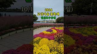 2024 고양가을 꽃축제 완전 힐링입니다