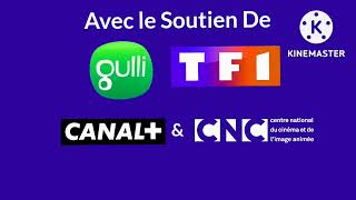 GO-N/France Télévisions/France 3/Gulli/TF1/Canal+/CNC (2016) Effects