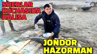 BUXORO JONDOR HAZORMAN /SHERLAR KUCHASIDA HALISA/JONDOR UZ