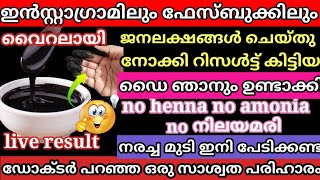 വെറും ഒരു സ്പൂൺ മതി എത്ര നരച്ച മുടിയും കട്ടക്കറുപ്പാകും |natural hairdye |haircare