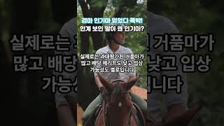 경마 인기마만 \