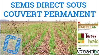 Semis direct sous couvert permanent - GIEE MAGELLAN