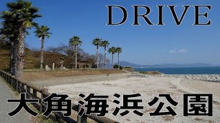 【drive】今治駅からあの大角海浜公園  河津桜・メジロ・キャンプ・水仙・海水浴・しまなみ海道・プチプライベートビーチ・釣り・ツワブキ・野路菊・車中泊