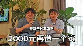 2000元绿植让公寓变成家，植物软装学起来