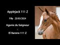 NR 3 APPLEJACK 111 Z - Aganix crossed with the best of 111 breeding!