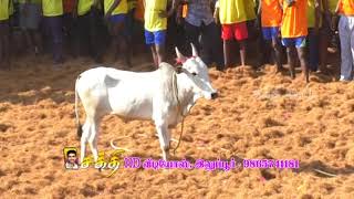 புதுக்கோட்டை ஆலத்தூர் ஜல்லிக்கட்டு 2018 part.01