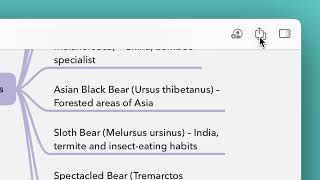 Bear & MindNode