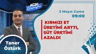 AGRO TV İle GÜNAYDIN - KIRMIZI ET ÜRETİMİ ARTTI, SÜT ÜRETİMİ AZALDI