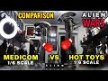 COMPARISON ALIEN BIG CHAP MEDICOM VS HOTOTYS 1/6 SCALE FIGURES