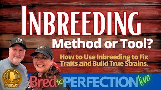 Ep212 - Inbreeding: The Breeder’s Most Misunderstood Tool