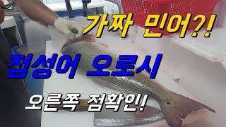 점성어 회뜨기_점민어 점성어 오로시_how to fillet a huge red drum fish