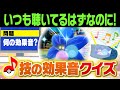 「ひゅーん！バサッ」←この音なんの技⁉️ポケモン廃人なら絶対分かる『技の効果音クイズ』に挑戦してみた‼️