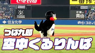 成功する日は来るのか！？つば九郎空中くるりんぱ｜2024年8月18日 広島東洋カープ戦（神宮球場）