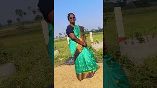 இந்த பூமியே எங்க சாமியம்மா#நெல் குவியல்#nagai#nagapattinam#villege#villegelife#trending#viral#shorts