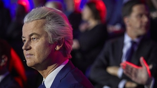 Netherlands General Election: Dutch go to polls in test of far-right strength