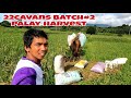 22 cavans batch #2 palay harvest