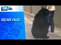 Black Bear Sniffs Woman's Legs & Follows Her