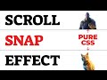 Pure CSS Scroll Snap Effect - Smooth Section Snapping Scroll