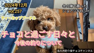 【vol.257】チョコと過ごす日々と人間不信者のこれからの釣り。(2024.12)