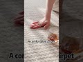 practical rug satisfyingvideos carpet foryou