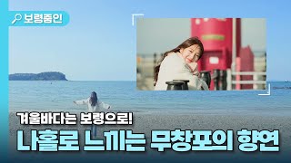 보령줌인🔍ㅣ겨울바다는 보령으로! 나홀로 느끼는 무창포의 향연🌊