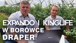 Expando i Kinglife w borówce odmiany Draper analiza wyników doświadczeń