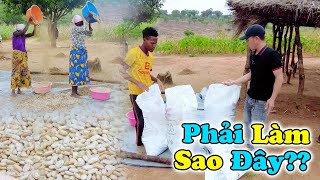 Đông Paulo || Anh Thư Ký Phụ Trách Bản Mới Bất Ngờ Ốm Nặng Trong Ngày Cả Bản Đón Thành Quả Lớn???