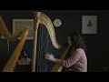 beautiful 19th century erard harp