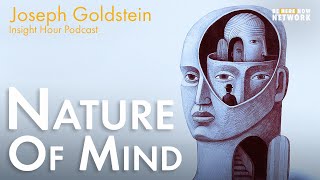 Joseph Goldstein on Nature of Mind - Insight Hour Ep. 150