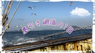 【底引き網漁】83歳のおじいちゃんと2人で漁に行く1日