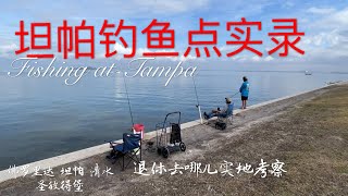 坦帕钓鱼点实录 退休地实地考察  佛州坦帕新年行之六 Finding Tampa Fishing Spots