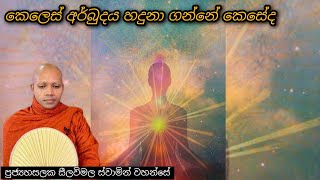 කෙලෙස් අර්බුදය හදුනා ගන්නේ කෙසේද ■ #350 🙏 |REV HASALAKA SEELAWIMALA THERO |